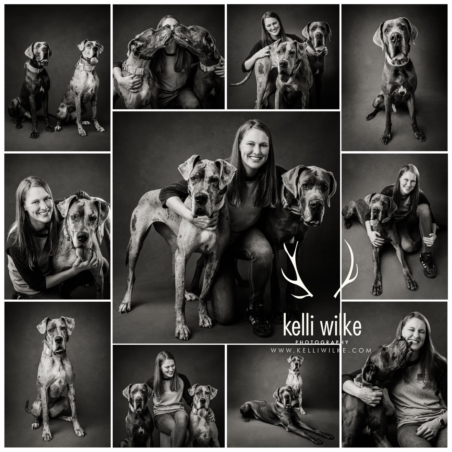 A collage of 11 black and white photos of a woman with two large gray and black Great Danes during a pet portrait session with Kelli Wilke Photography in Wilmington Delaware. 
