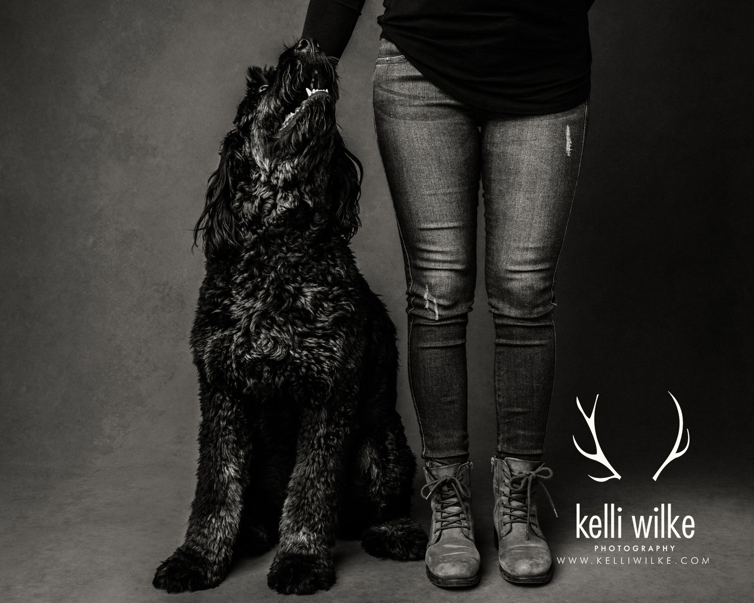 A black and white picture of a large, black, shaggy dog looking up at his owner during a pet portrait session in Wilmington, Delaware by Kelli Wilke Photography. 