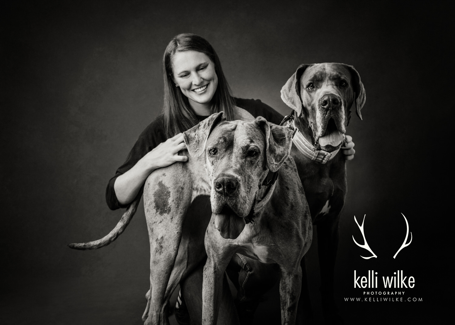 A black and white picture of a woman with two large Great Danes during a pet portrait session by Kelli Wilke Photography in Wilmington, Delaware. 