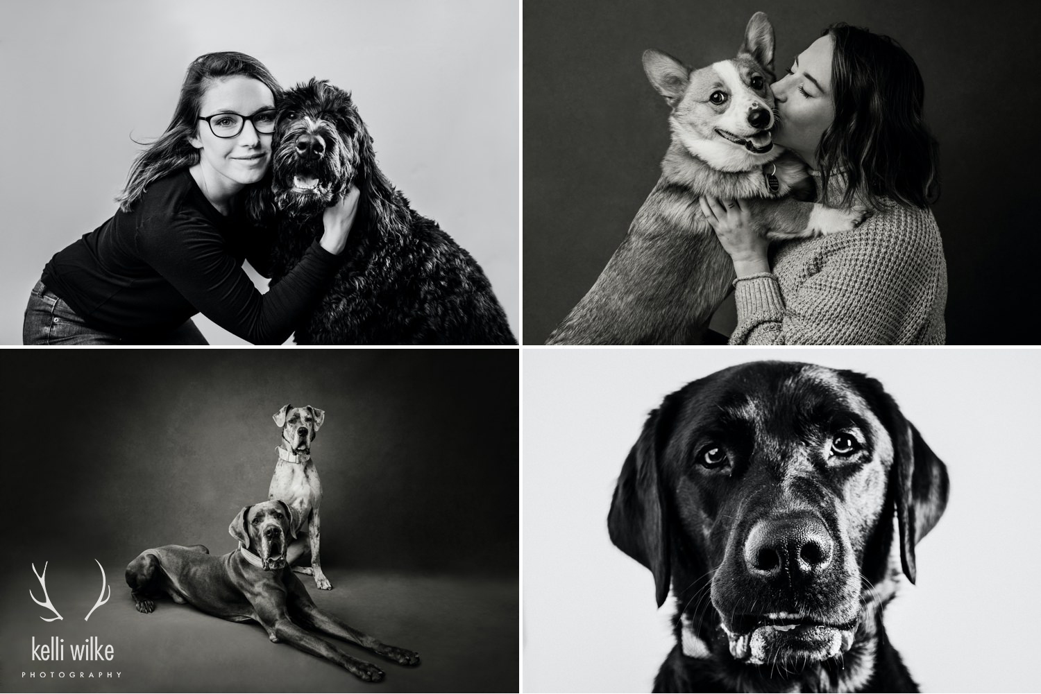 A collage of 4 black and white pictures of dogs with their owners photographed by Kelli Wilke Photography in Wilmington, Delaware. 